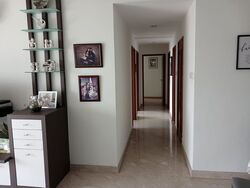 Parc Palais (D21), Condominium #556435061